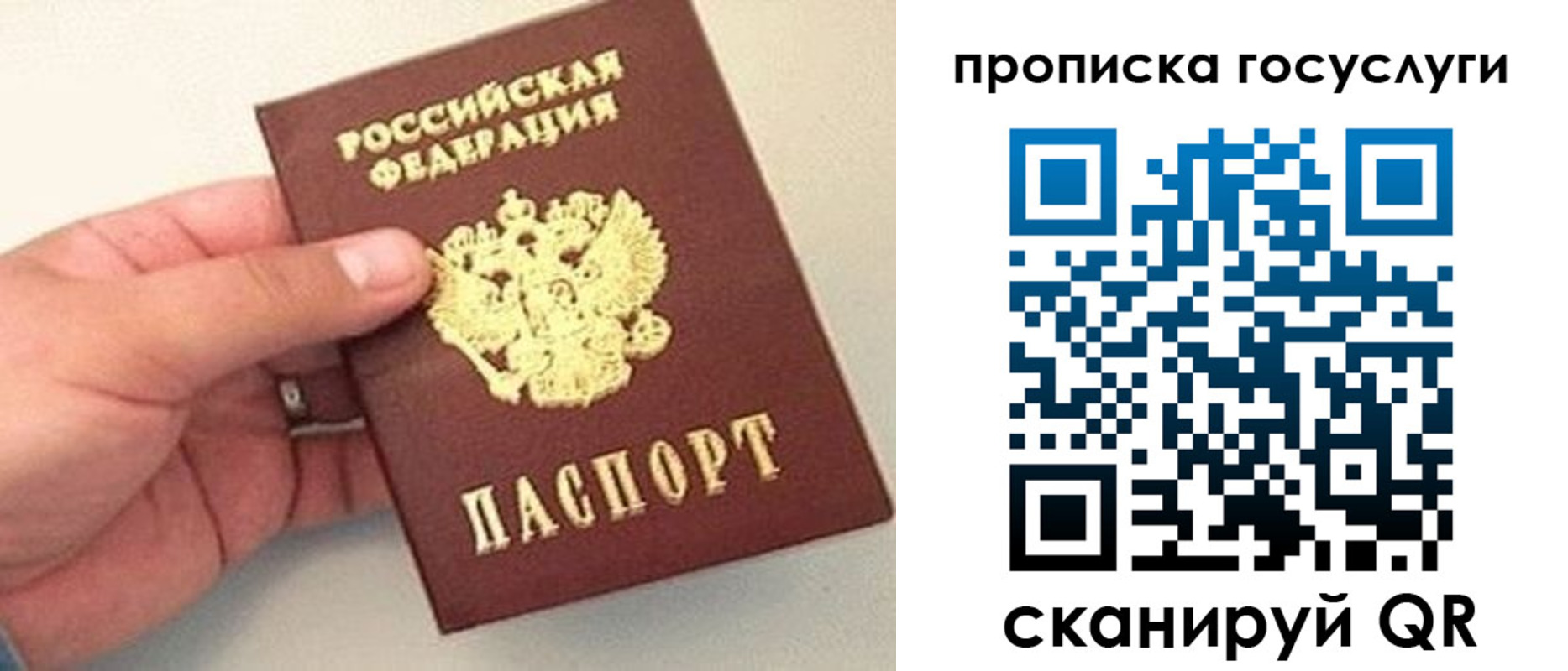 где прописаться в Боготоле